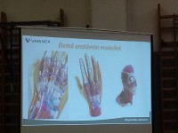 3D-s anatómiai modellek